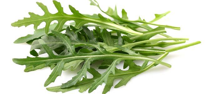 Чем полезен салат руккола для организма человека и какие витамины он ...